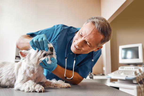 Best Emergency Wisdom Tooth Extraction in Milton, PA